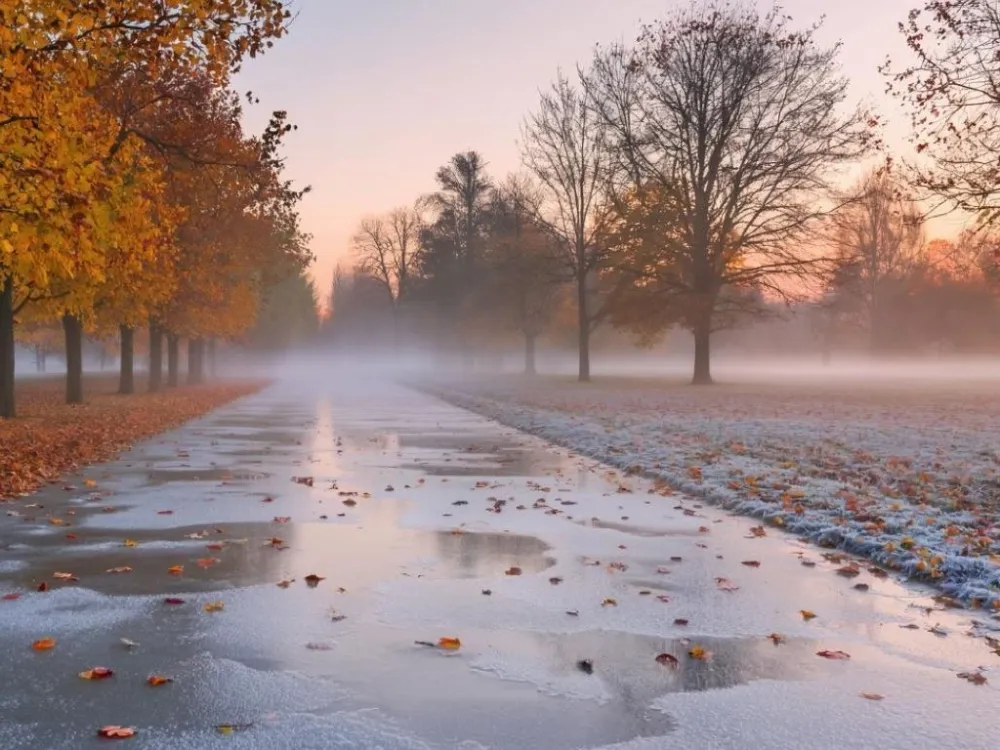 Гороскоп на 14 октября: Овнам не стоит раздражаться по пустякам, а Рыбы будут вызывать восхищение
