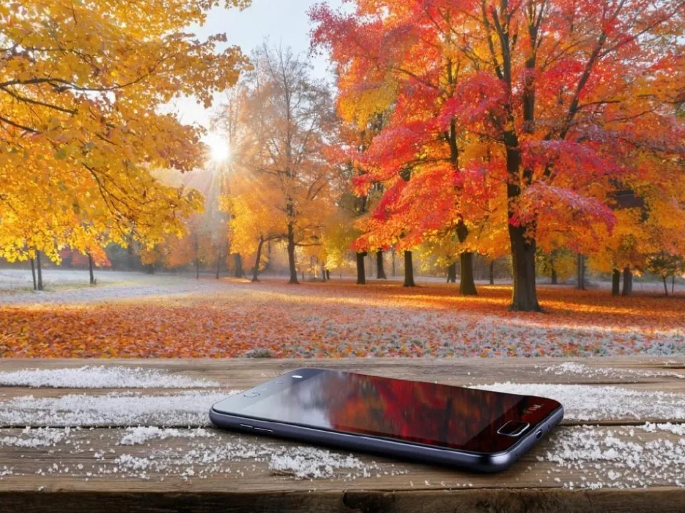 Гороскоп на 15 октября: Тельцам стоит избегать конфликтов, а Водолеям – следить за ключами и телефонами