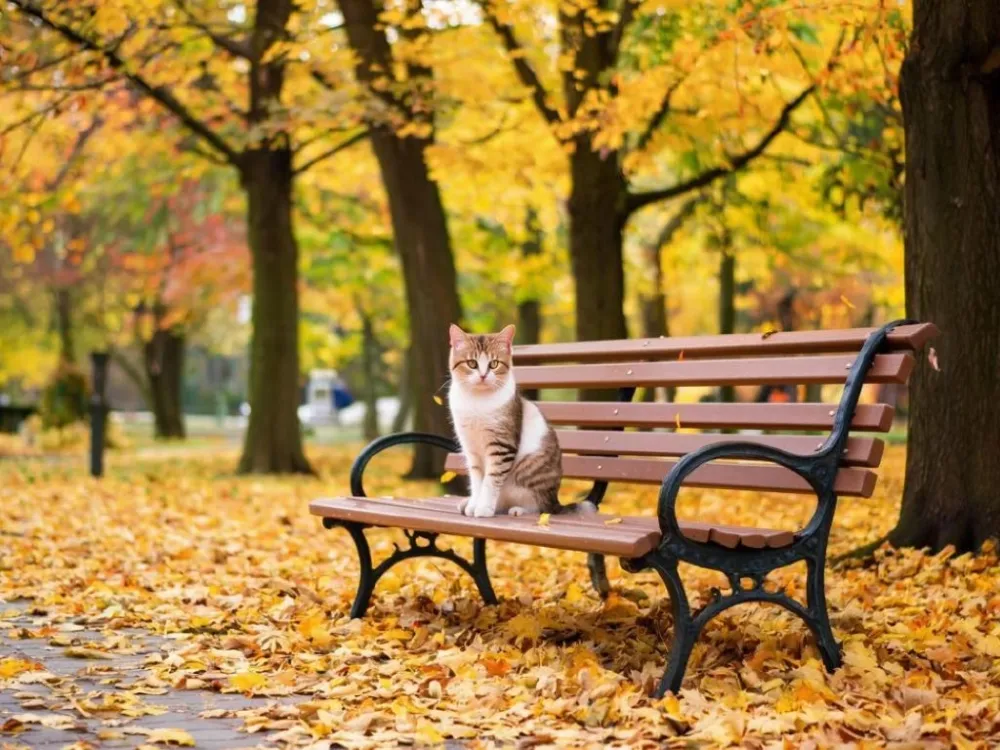 Гороскоп на 16 октября: Близнецам стоит провести время дома, а Козерогов заметит начальство