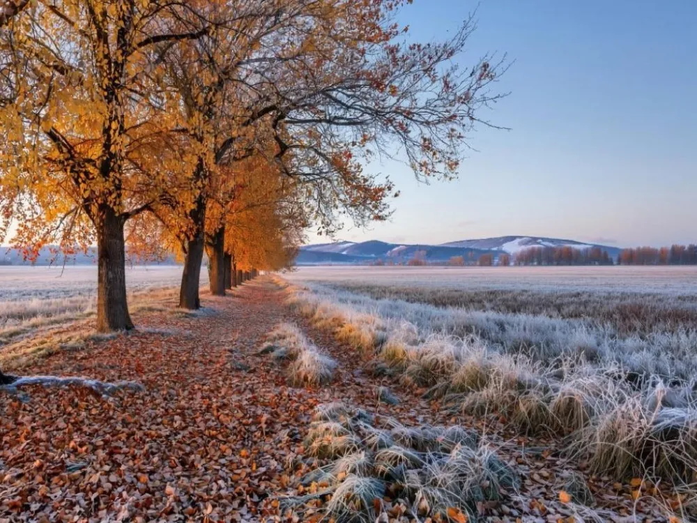 Гороскоп на 23 октября: Близнецов ожидают интересные встречи, а Козерогам стоит сбросить груз прошлого