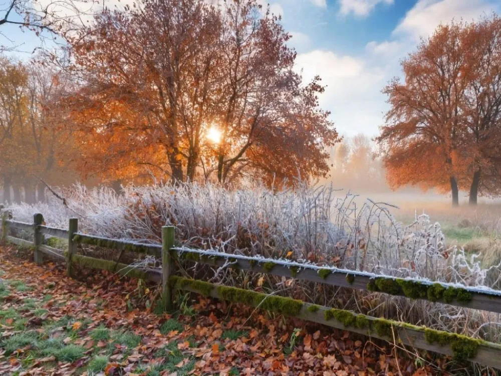 Гороскоп на 29 октября: Тельцы наладят новые контакты, а Водолеям не стоит откладывать дела на потом