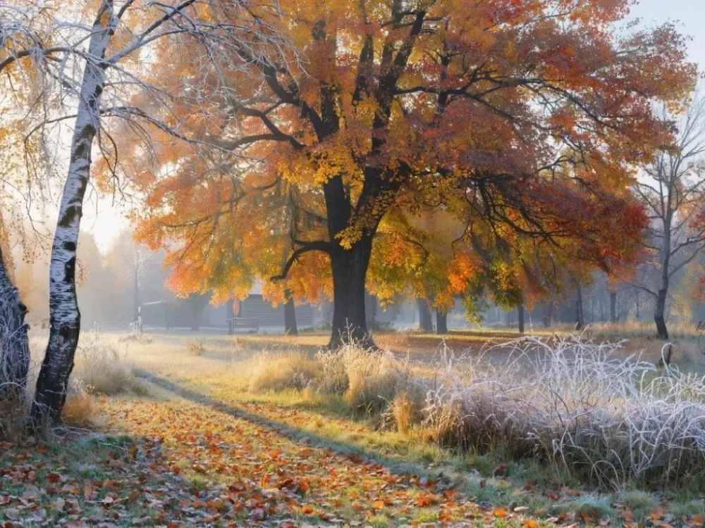 Гороскоп на 8 октября: Тельцам не стоит конфликтовать, а Водолеям – принимать сомнительные предложения