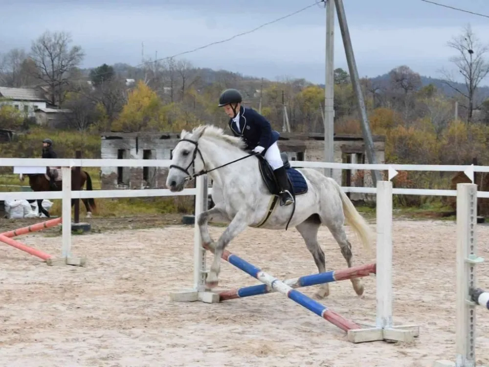Соревнования по верховой езде прошли в Долине тигров