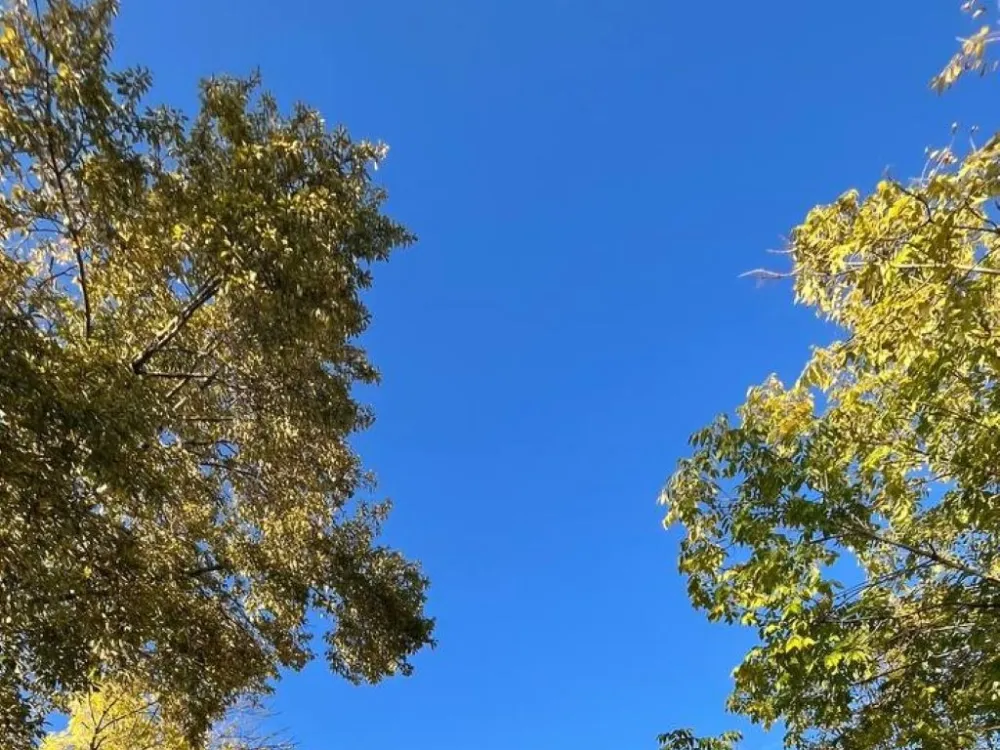 Малооблачная погода ожидается 10 октября в ЕАО