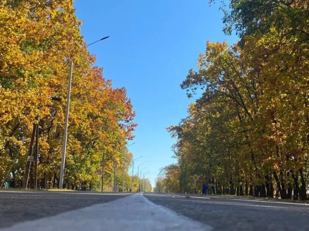 Погода на 16 октября: до +8° и умеренный ветер ожидаются в ЕАО