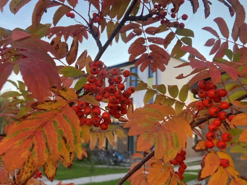 Последствия недавней магнитной бури могут ощутить жители ЕАО: погода на 4 октября