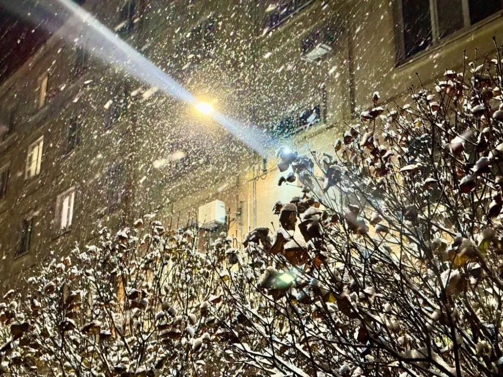 Погода на 22 октября: до минус 7° похолодает ночью местами в ЕАО