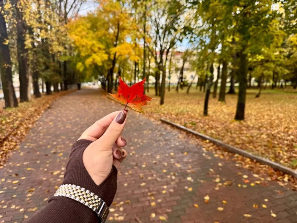 Малооблачная погода ожидается 24 октября в ЕАО