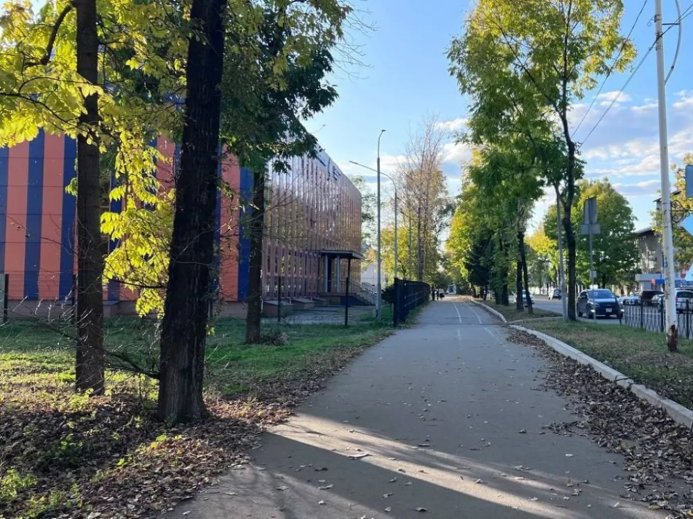 Минусовые температуры ожидаются местами в ЕАО: погода на 6 октября