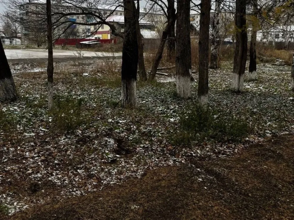 Погода на 8 октября: небольшой снег и туман ожидаются местами в ЕАО