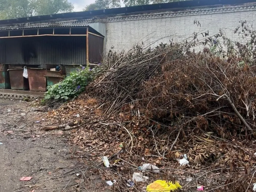 Бездействие чиновников привело к мусорной проблеме в Ленинском районе