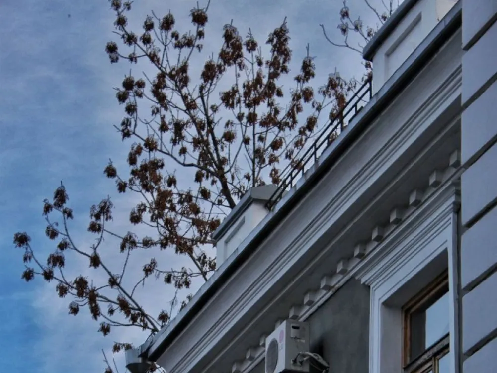 Уникальный музей создадут в ЕАО