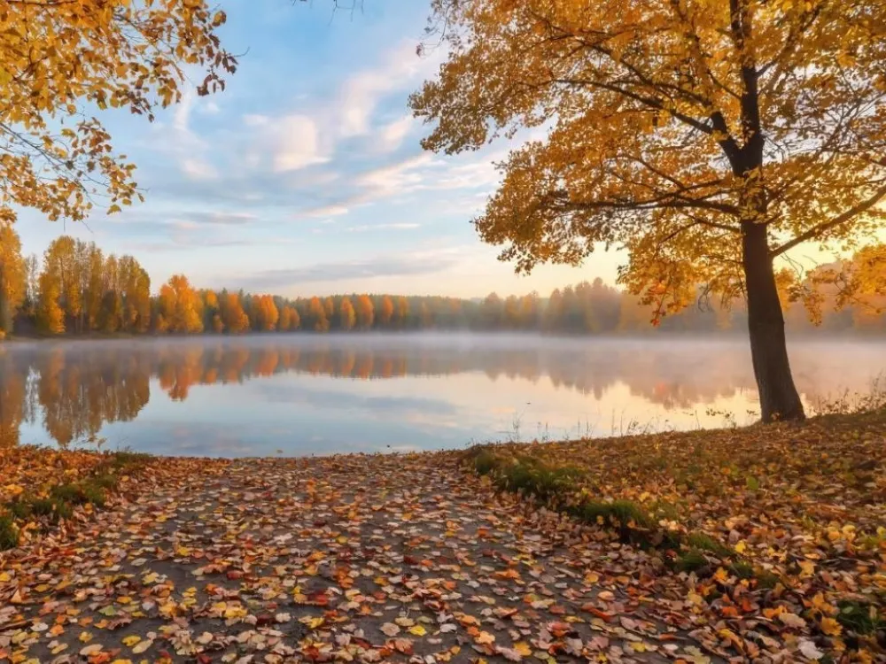 Специалисты назвали самые везучие знаки ноября