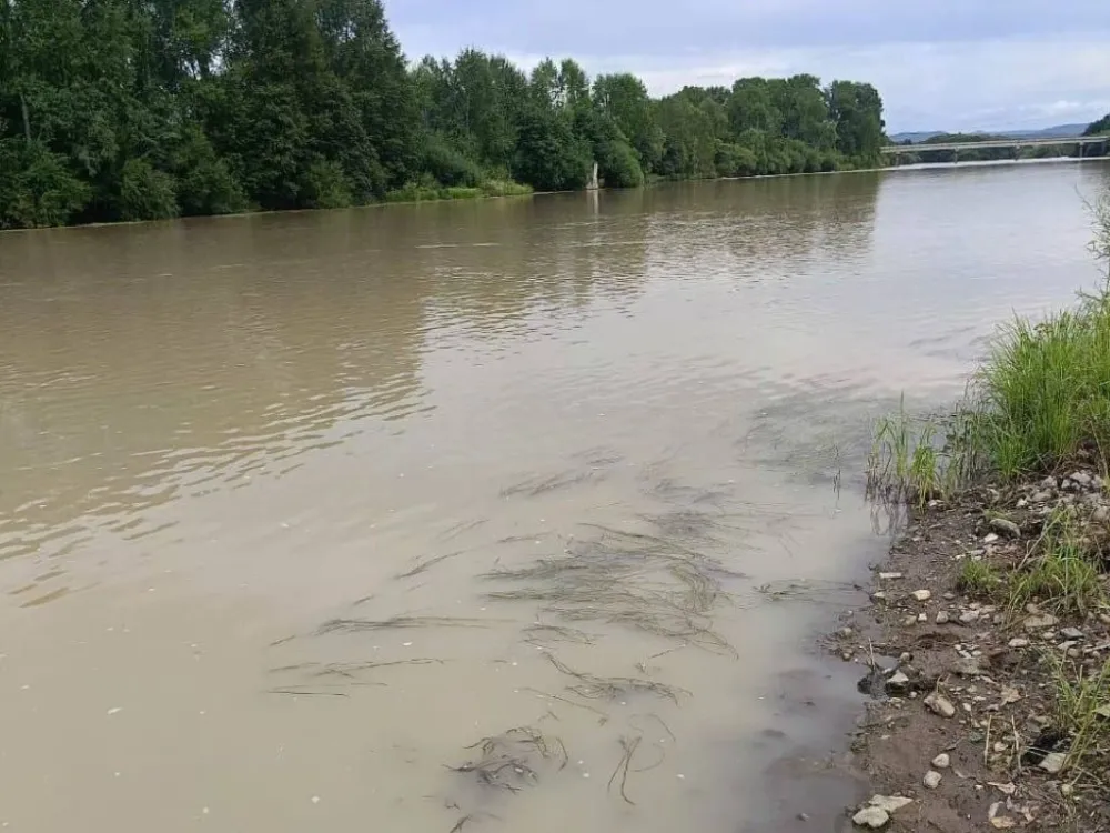 Виновный в загрязнении реки Биры в ЕАО пойдёт под суд