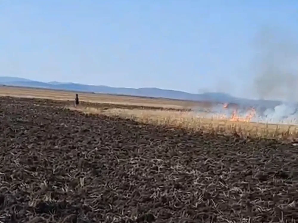 За незаконным палом травы поймали фермера из ЕАО