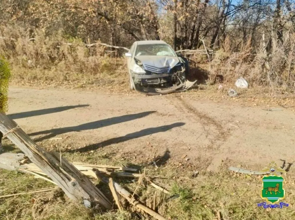 Столб помешал водителю в ЕАО