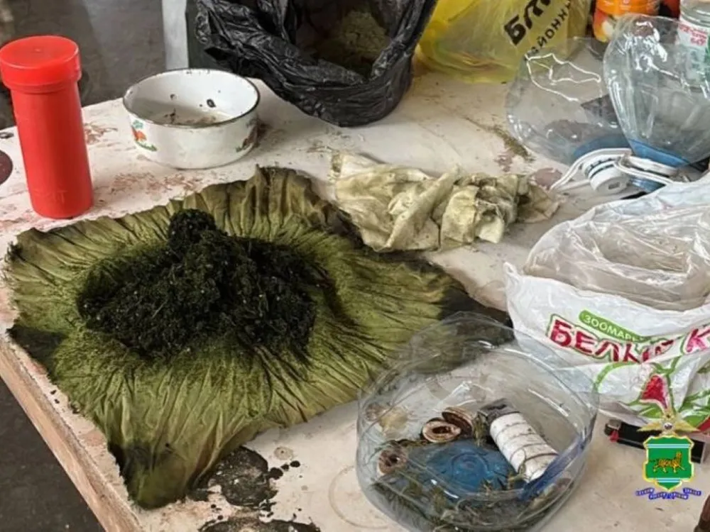 Оружие и наркотики обнаружили в ходе осмотра гаража жителя ЕАО