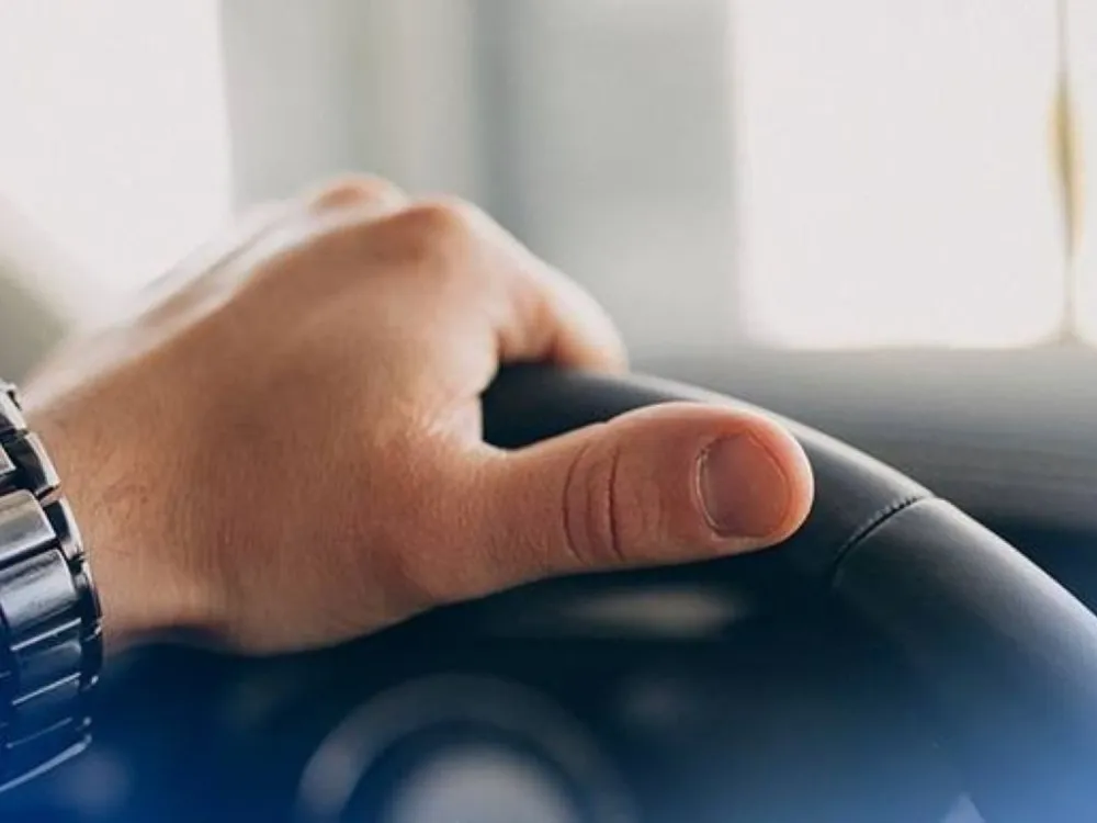 Вместо присмотра за животным, угнал автомобиль житель ЕАО