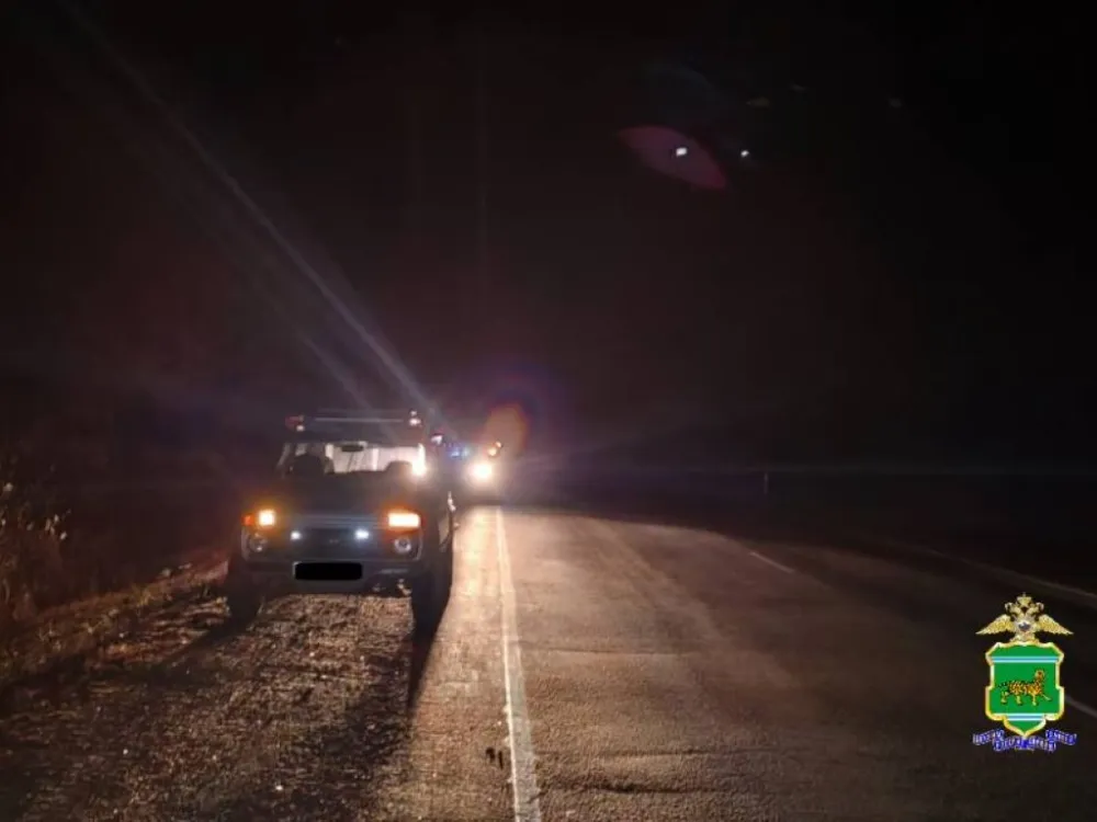 Пешеход погиб под колёсами автомобиля в ЕАО