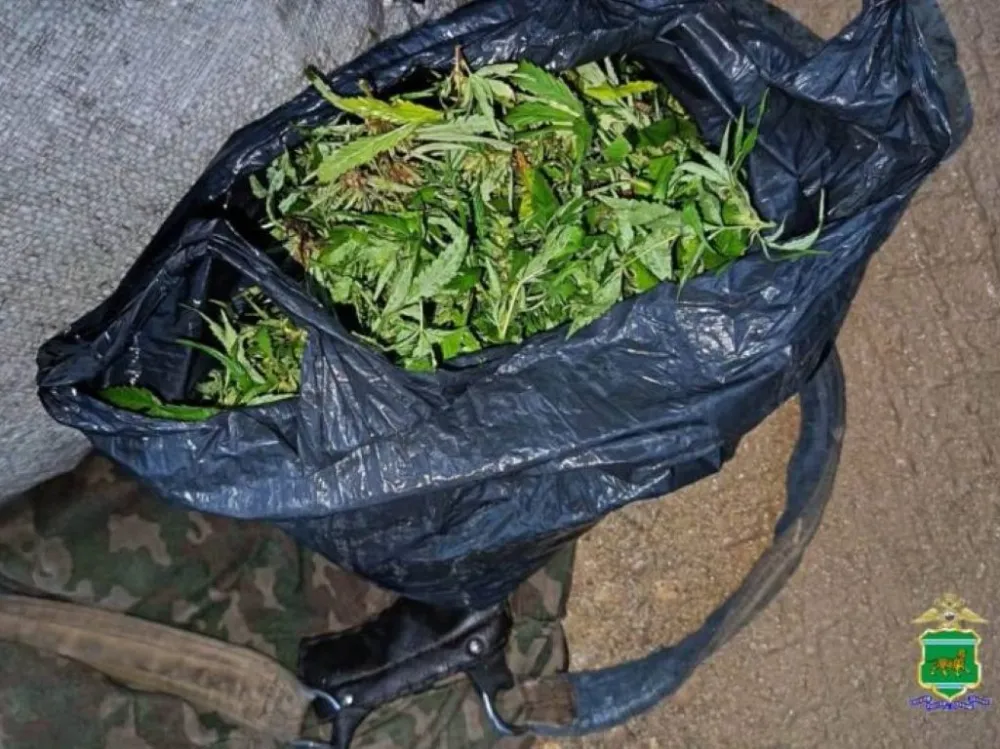 На мопеде без прав и с рюкзаком дурман-травы задержали биробиджанца