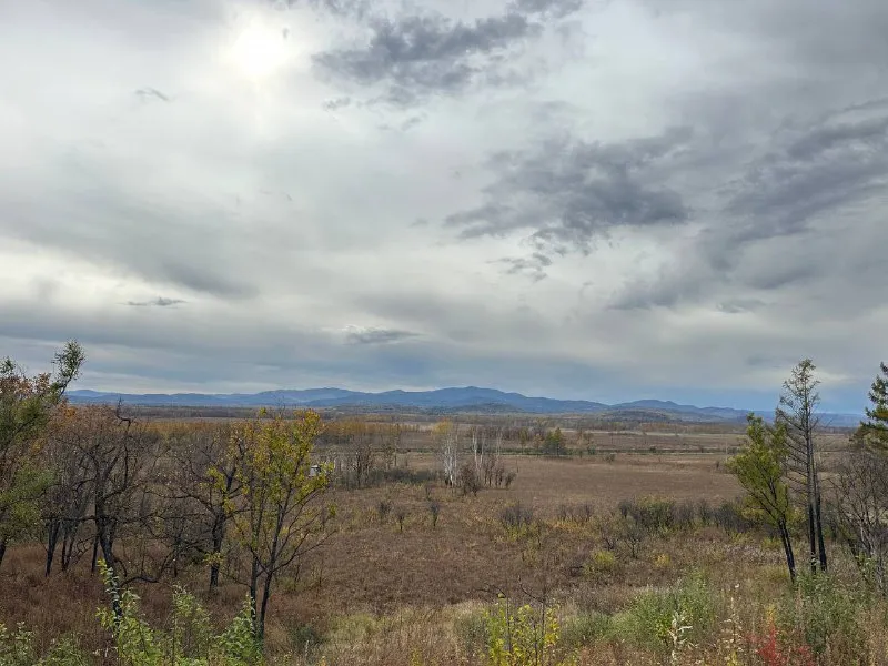 Погода на 12 октября: Сильный  ветер и до +10°