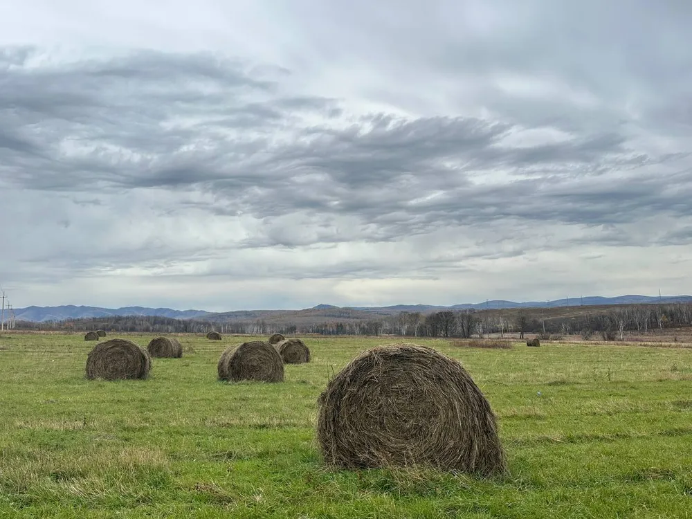 Гороскоп на 4 ноября: Овны найдут смелость начать заново, Рыбы услышат тишину внутри
