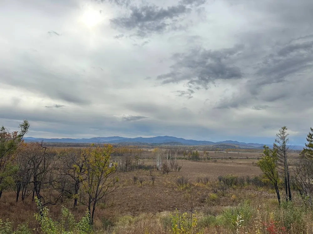 Гороскоп на 3 ноября: Близнецы обретут ясность, Рыбы услышат внутренний голос