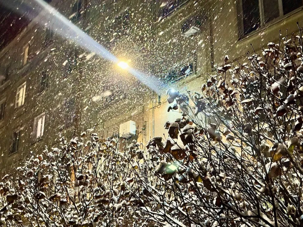 Снежное утро ждет несколько районов ЕАО: прогноз погоды на 26 октября.