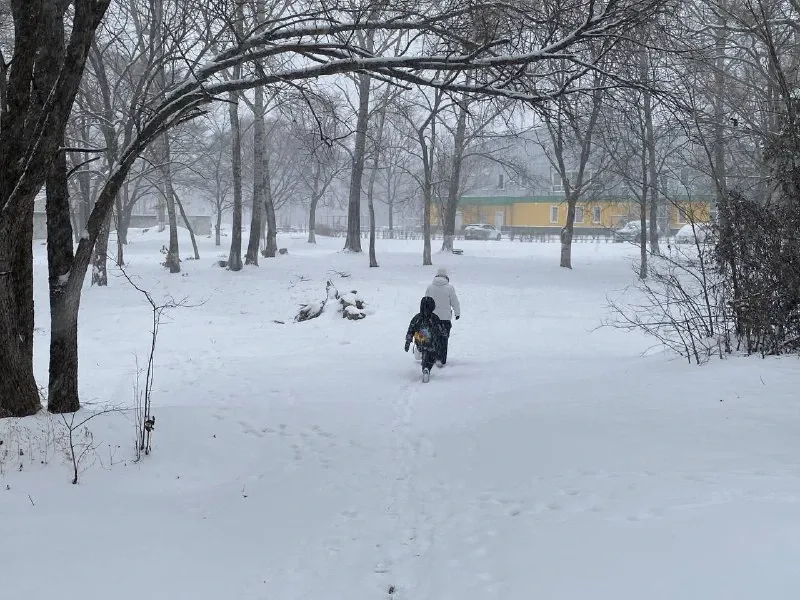 Ребенок чудом выжил на утреннем морозе в Биробиджане