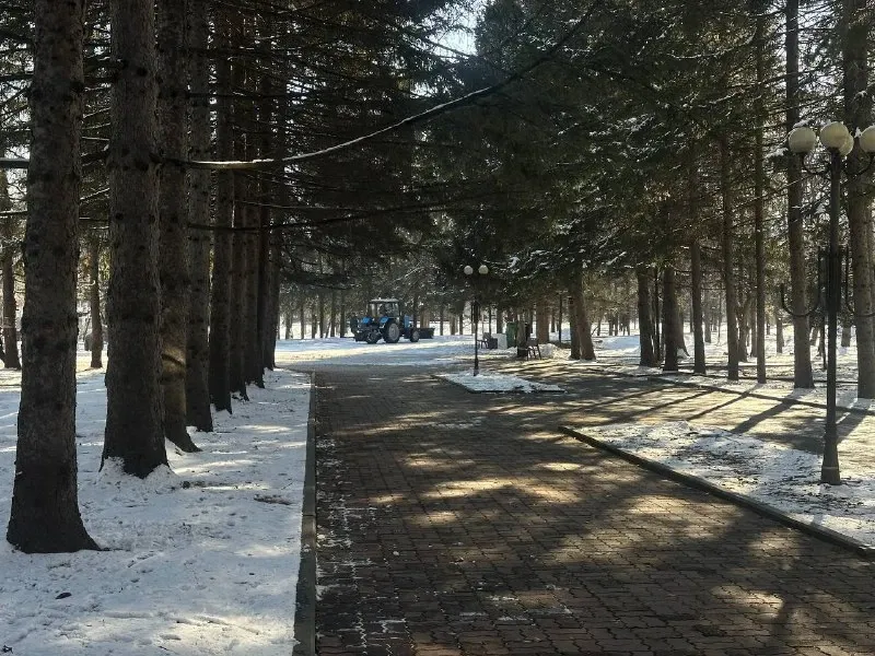 Погода в ЕАО на 3 ноября: ясно почти везде, но в Николаевке — сильный ветер