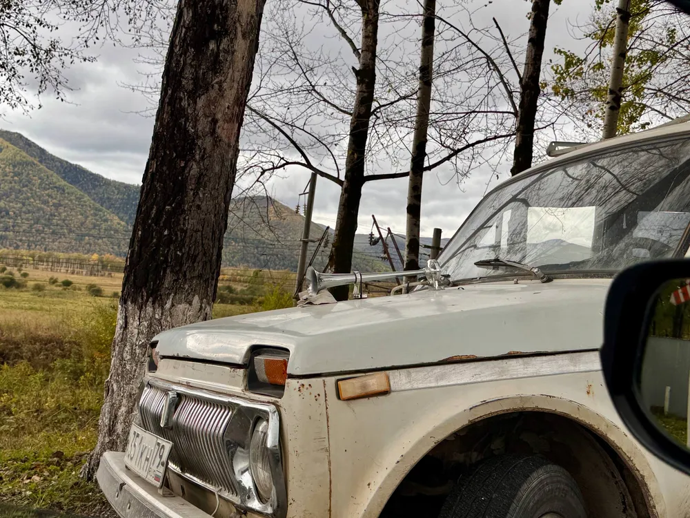 Угнал авто и разбил его, влетев в дерево, 17-летний биробиджанец