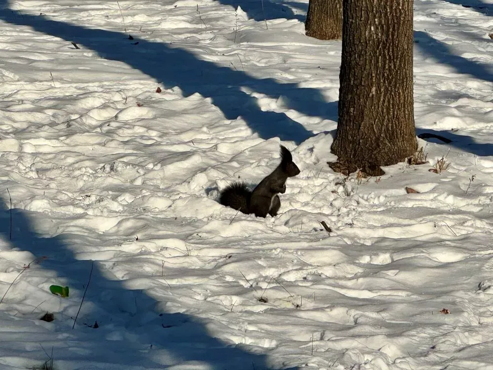 Какой будет погода во вторник в ЕАО, рассказали синоптики