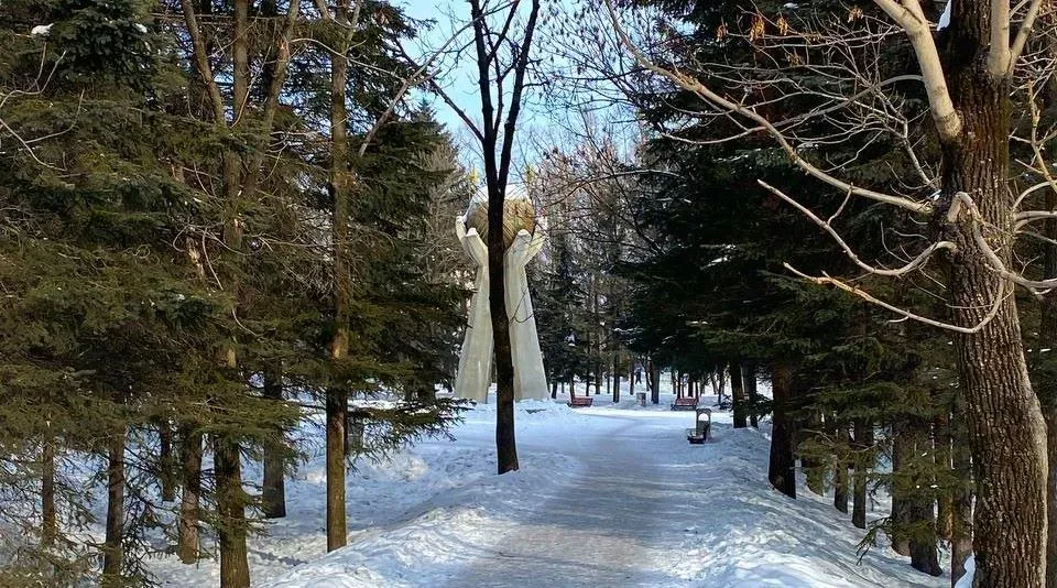 Какой будет погода в среду в ЕАО, рассказали синоптики