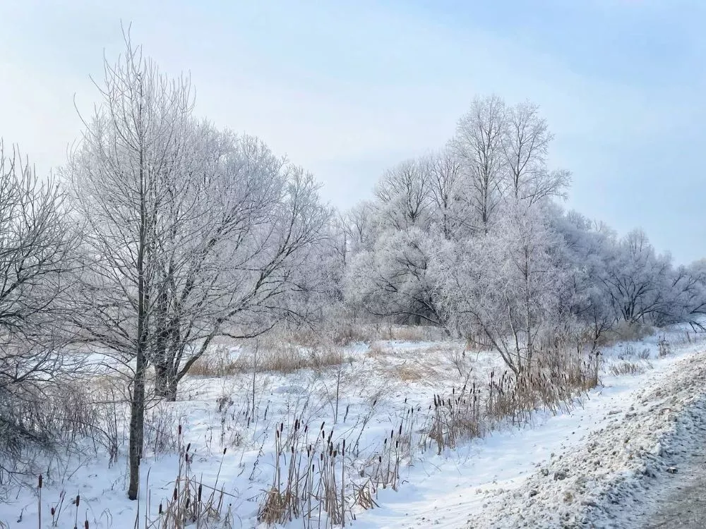 Какой будет погода в воскресенье в ЕАО, рассказали синоптики