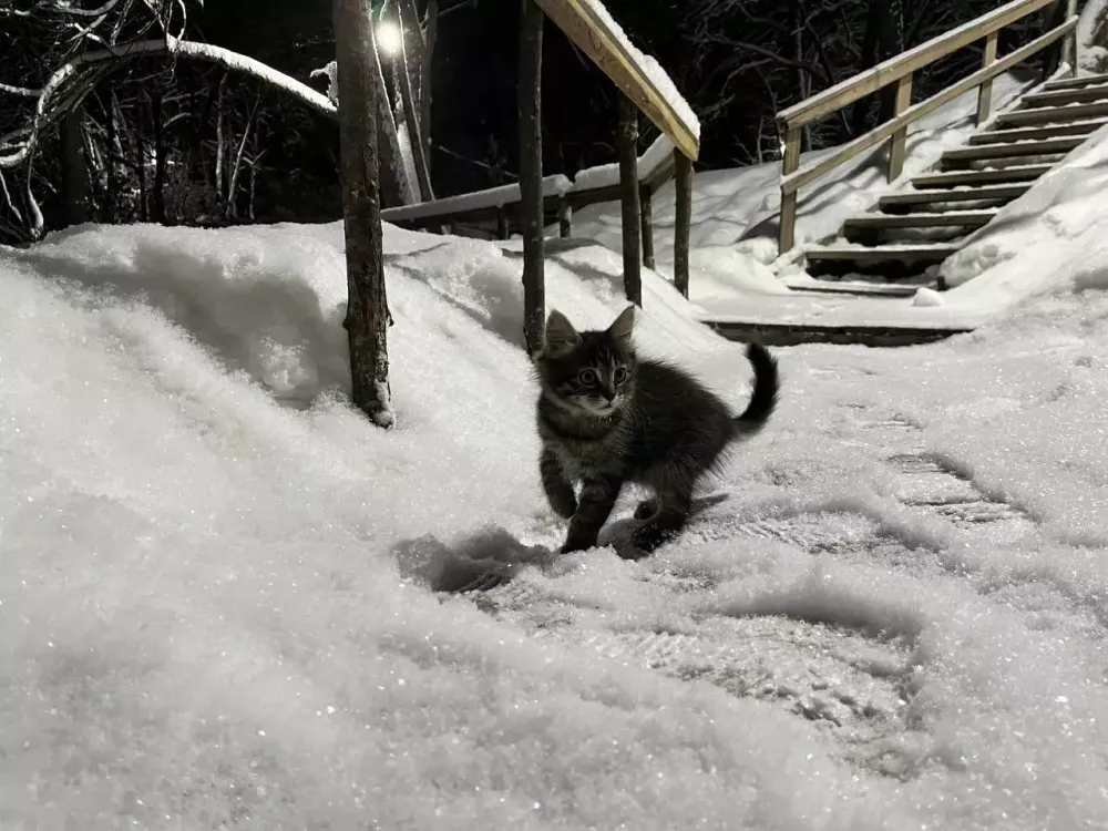 Какой будет погода в субботу в ЕАО, рассказали синоптики