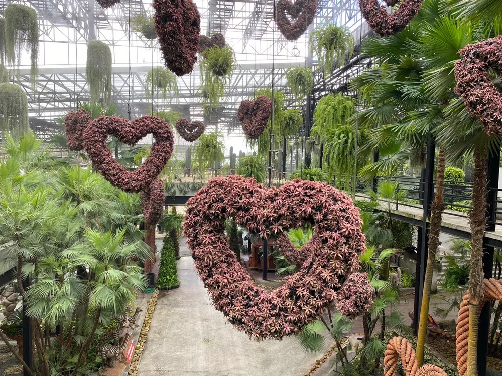 Фестиваль романса и «Ирония любви» — анонс событий в ЕАО на неделю