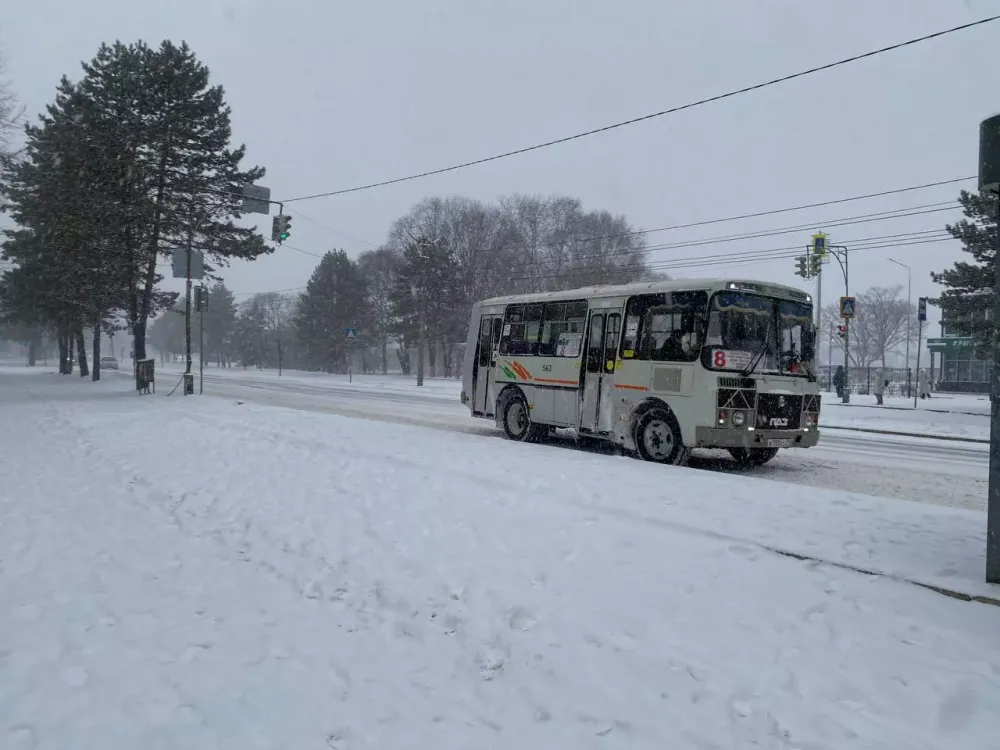 С 1 декабря стоимость проезда в автобусах вырастет до 35 рублей в Биробиджане