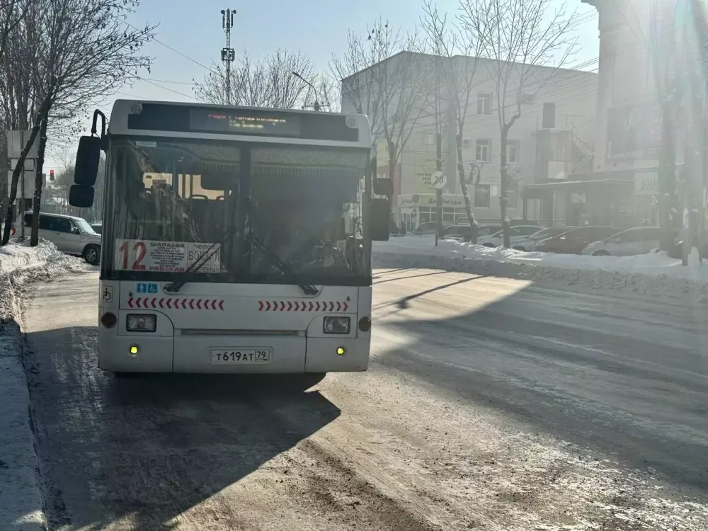 Пенсионеры и школьники Биробиджана сохранят прежнее количество льготных поездок