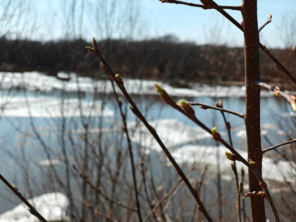 Как в ЕАО слово «амсояр» стало символом уважения и названием реки
