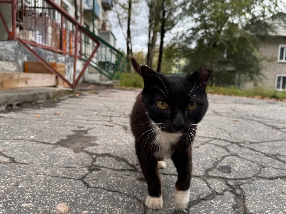 Аномально теплый ноябрь продолжит радовать жителей ЕАО плюсовыми температурами