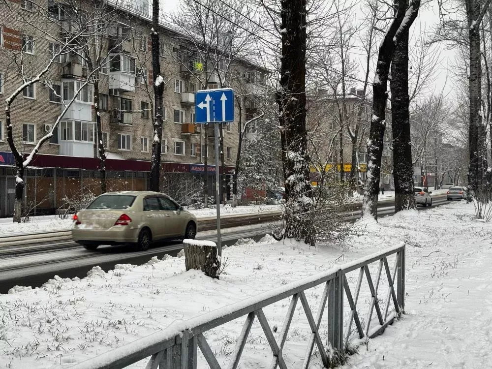 Полезные лайфхаки для автовладельцев Биробиджана после снегопада