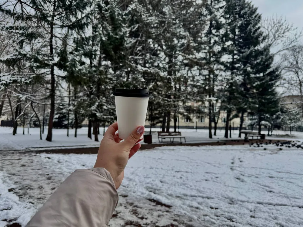 До +9: Теплый праздничный день ждет жителей ЕАО 4 ноября