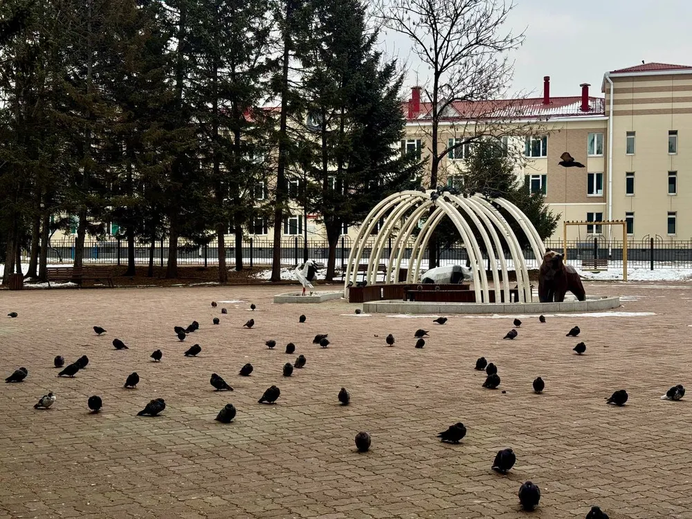 Гороскоп на 13 ноября: Близнецы обретут ясность, Рыбы найдут внутренний покой