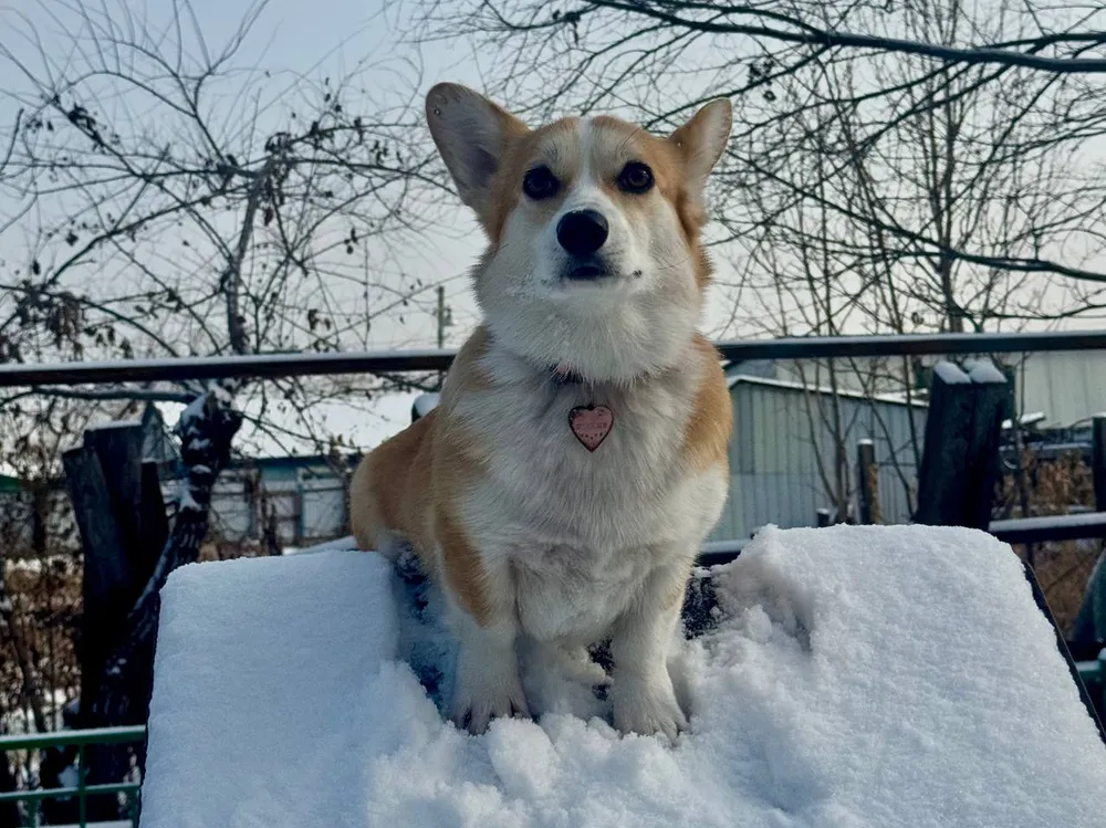 Гороскоп на 16 ноября: Близнецы обретут ясность, Рыбы найдут внутренний покой