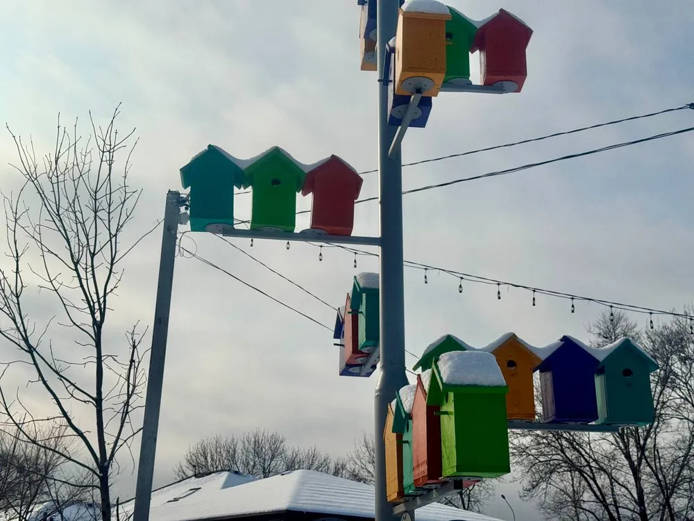 Гороскоп на 12 ноября: Близнецы обретут ясность, Козероги увидят плоды упорства