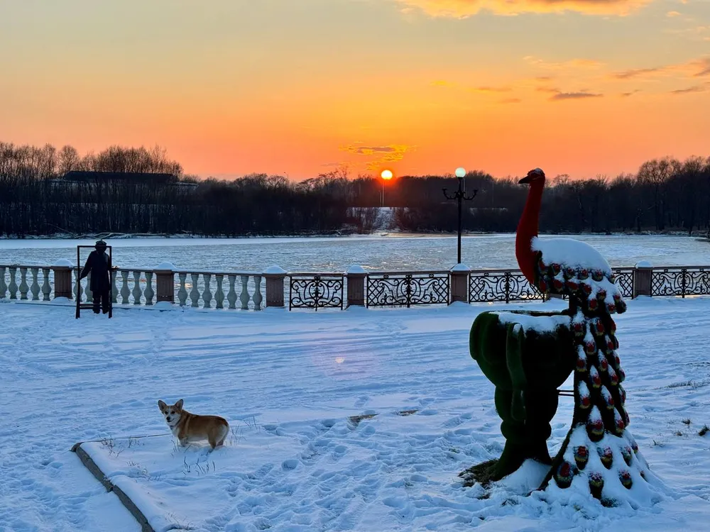 Пижамная вечеринка и Кубок по баскетболу — события на выходных в ЕАО