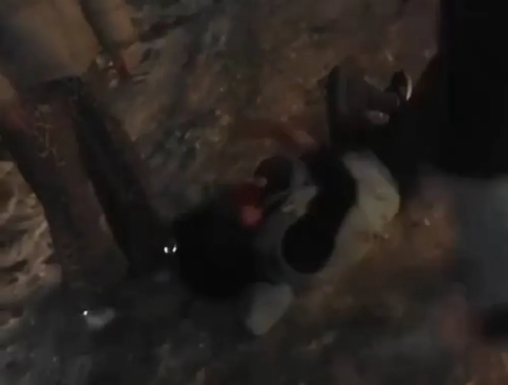 Жестоко избившие женщину в Биробиджане подростки могут отделаться статьей за хулиганство