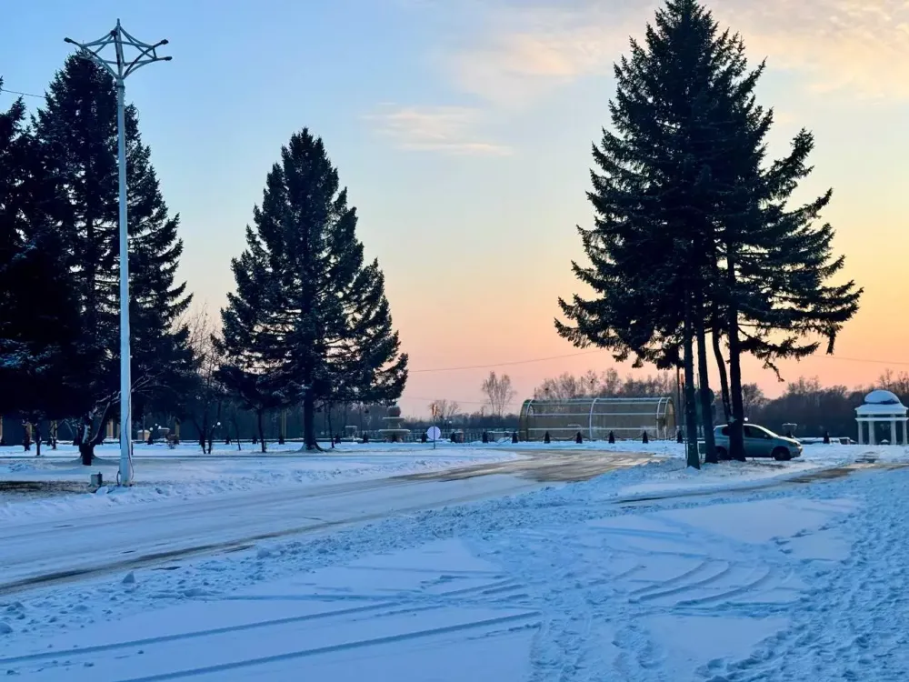 Какой будет погода в четверг в ЕАО, рассказали синоптики