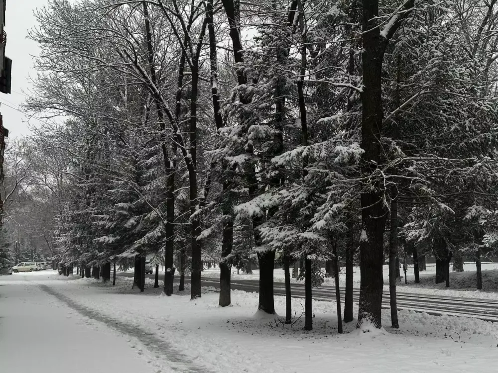 Какой будет погода в пятницу в ЕАО: рассказали синоптики