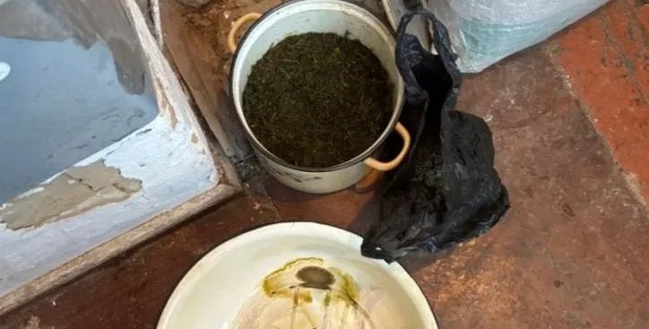 Изъято более 3 кг наркотиков у мужчины для личного потребления в Смидовичском районе